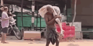 कब्र से बहन का कंकाल निकालकर बैंक पहुंचा भाई, ओडिशा में इंसानियत को झकझोरने वाला मामला